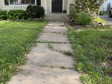 🔥2026 SALE - Fast-Acting Natural Weed & Grass Killer Spray