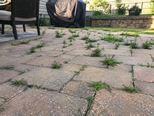 🔥2026 SALE - Fast-Acting Natural Weed & Grass Killer Spray