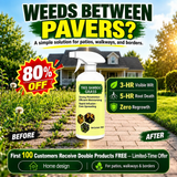 🔥2026 SALE - Fast-Acting Natural Weed & Grass Killer Spray